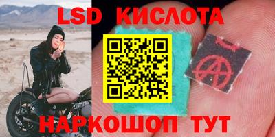 сатива Гатчина