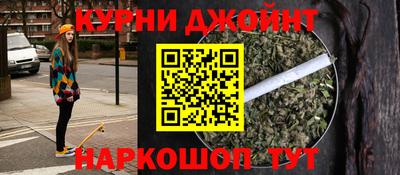 сатива Гатчина