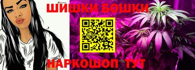 сатива Гатчина