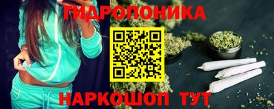 сатива Гатчина