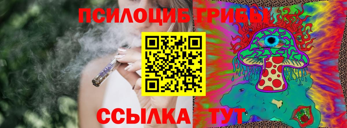 Галлюциногенные грибы мицелий Малгобек